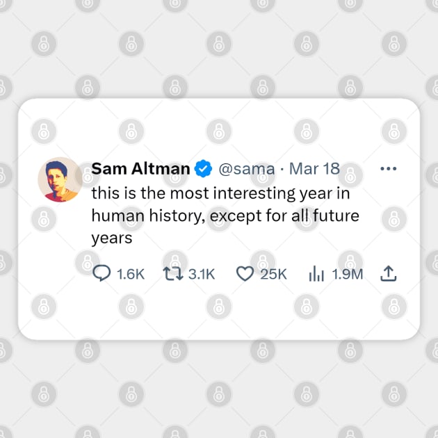 Sam Altman quote "this is the most interesting year in human history" Magnet by Distinct Designs NZ